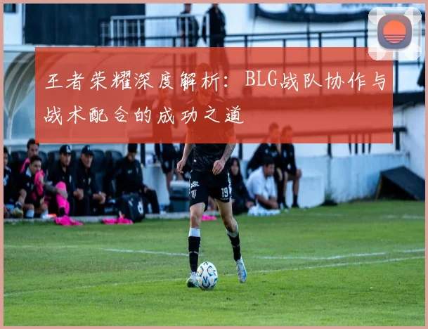 王者荣耀深度解析：BLG战队协作与战术配合的成功之道