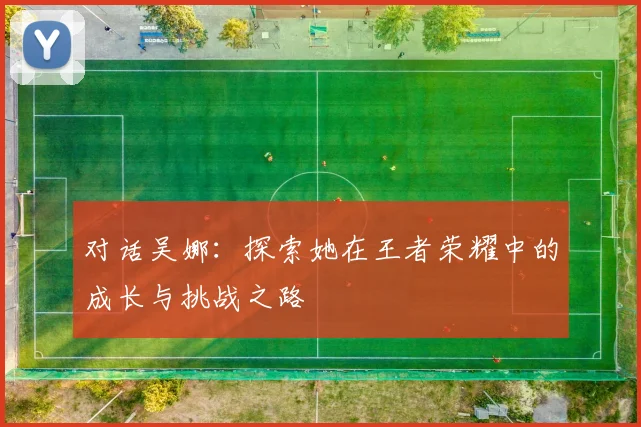对话吴娜：探索她在王者荣耀中的成长与挑战之路